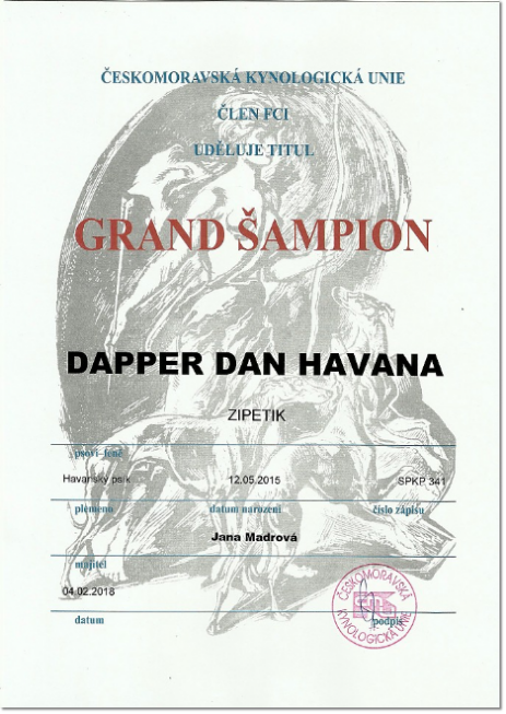 DAPPER DAN Havana Zipetik - ČESKÝ GRAND ŠAMPIÓN